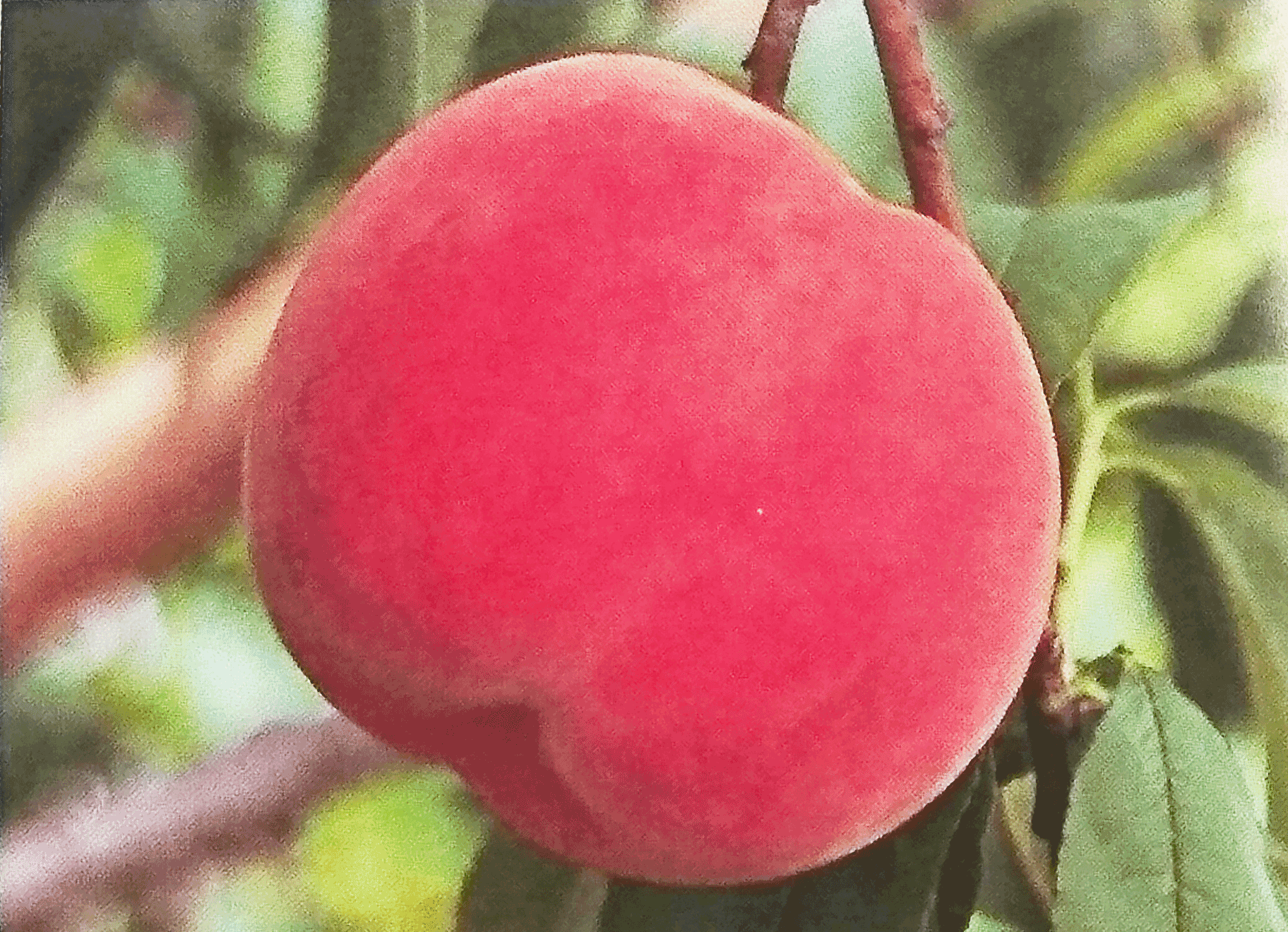 ���@�ėY��