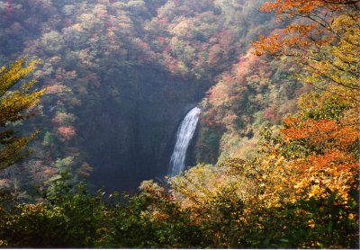 山