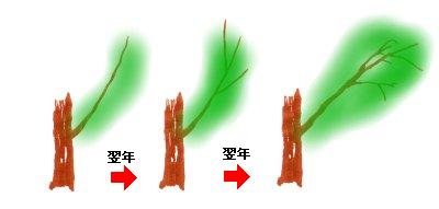 えだ