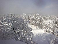山